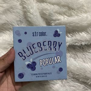 Blueberry Eye Shadow Palette 💙