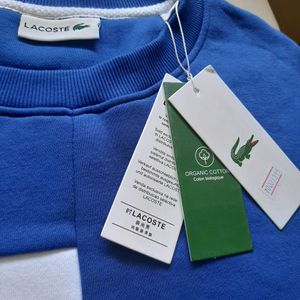 Lacoste Men's Pullover Sweatshirt