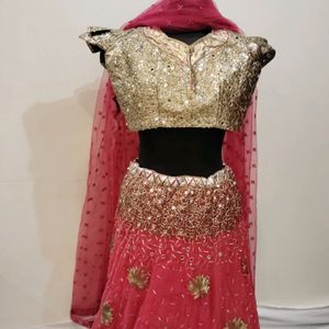 Pink Colour Mirror Worked Lehenga