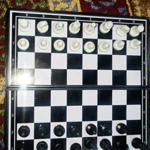 Selling A Magnetic Chess