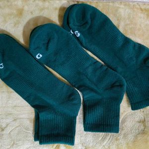 Winter Socks_DSG_Imports