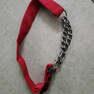 Puppy Harness and Red Collar