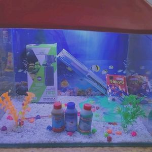 Fish Aquarium