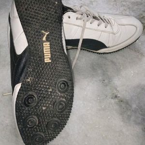 Puma Shoes