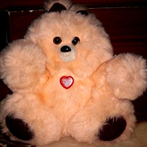 Big Size Cute Teddy