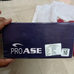 Pro Ase Badminton Shoes