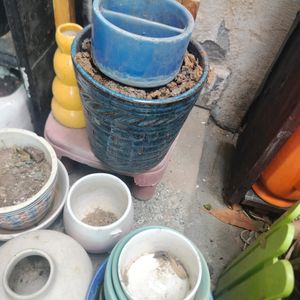 Ceramics And Plastic Pots