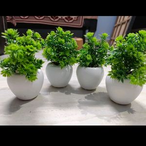 Pack Of 4 Artificial Plants..