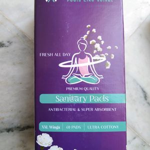 Wellwet Sanitary Pads 2 Box