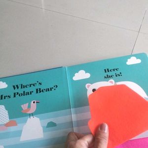 Combo Of Lift The Flap Books