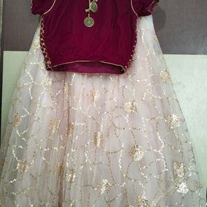 Brand New Lehenga Choli