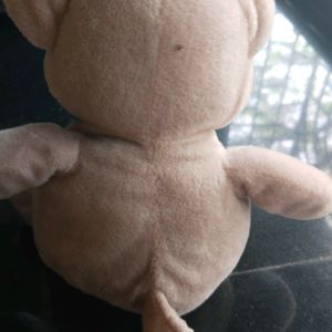 Pink Teddy