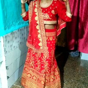 Heavy bridal Lehanga Choli