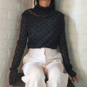 Shimmering Long  Tops & Turtle Neck