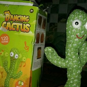Dancing Cactus On Sale