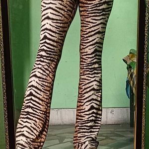 Animal Print Bootcut Bottom...