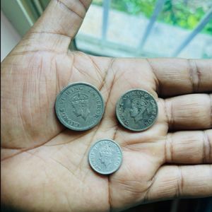 Tiger Rupee Set of 3 coins