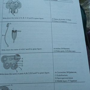 NCR Class 12th Biology