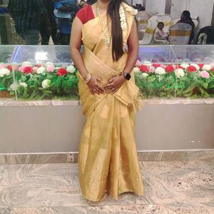 Gold tissue silk saree trending with stiched blous