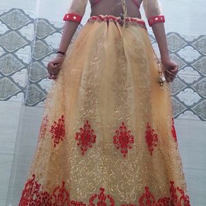 Full Gher Party Wear Lehnga Choli