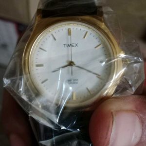 Old Vintage Timex 2013 Model