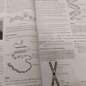 Biology Question Bank Class 10