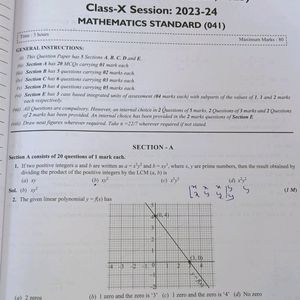 Class 10 Mathematics Standard Sample Paper