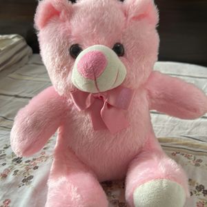 New Teddy Bear Never Used