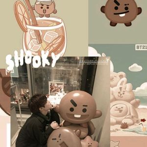 Tata And Shooky Keychain- BTS