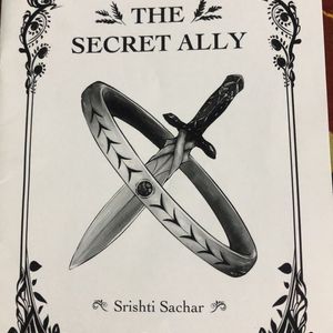 The Secret Ally Comic Book