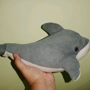 Dolphin