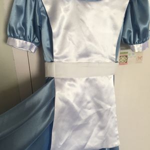 Alice In Wonderland Costume