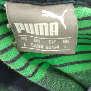 Green Grey Striped T-Shirt (Men's)