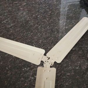 3cream Color Ceiling Fan Blades