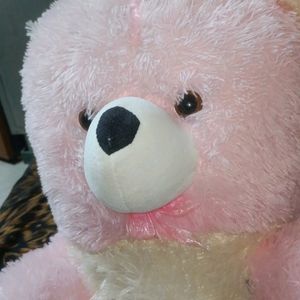 Pink Teddy Bear