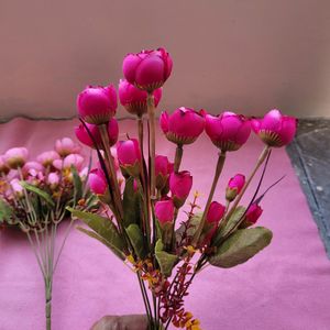 Pink Roses Bunches 2