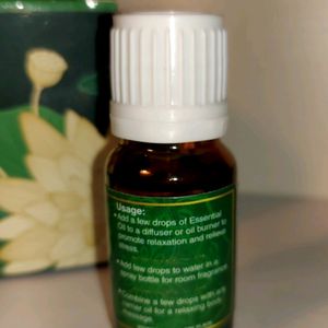 10ml Eucalyptus Essential Aroma Oil