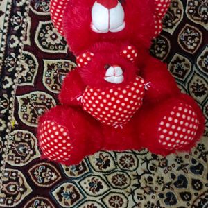 New Teddy Send Offer