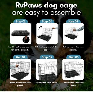 Folding Metal Cage/ Kennel With Tray