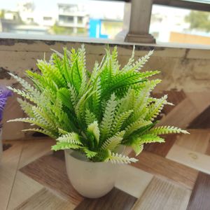 3 Piece Artificial Plants