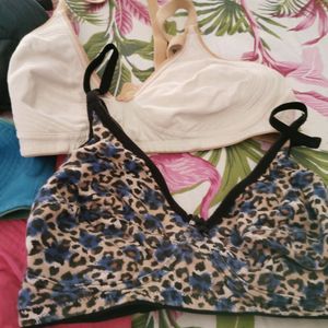 36B Bras