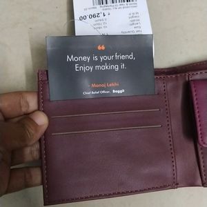 Baggit Small Wallet