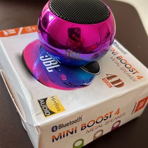 JBL Mini Boost Metal Speaker