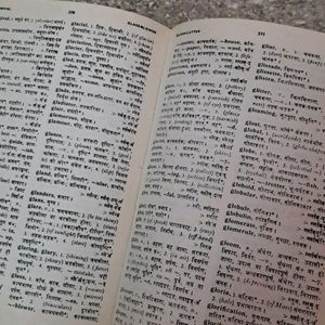 English- Hindi Dictionary