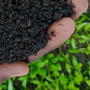 Compost