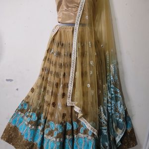 Lehenga/blouse and dupatta