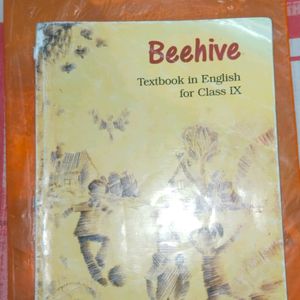 Combo Of Class 9th Beehive And Economics Book