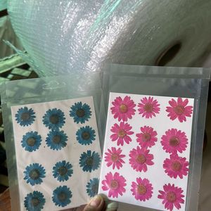 Pressed Daisy Sheets (new)