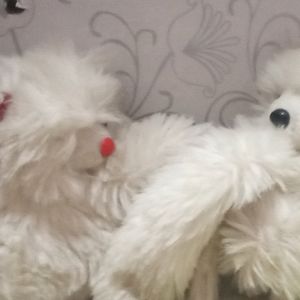 2 Soft Toys