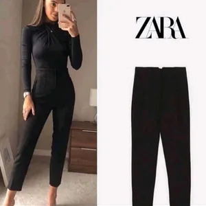 Zara High Waisted Pleated Pant